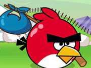 Play Angry Bird Journey