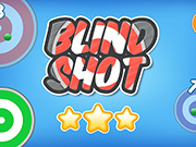 Play Blind Shot