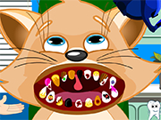Play Cat Dental Care