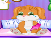 Play Cute Puppy Caring
