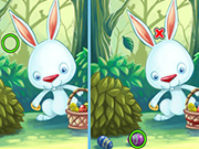 Play Find Differences Bunny