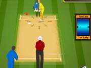 Play Ipl Cricket 2013