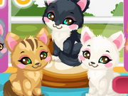 Play Kitty Care 2