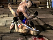 Play Mma Fighters