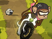 Play Monkey Motocross Island