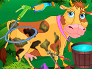 Play My Lovely Cow Care