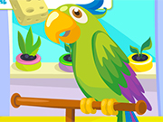Play Parrot Care