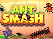 Play Ant Smash