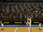 Play Bunnylimpics Volleyball