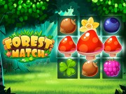 Play Forest Match