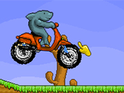 Play Shark Moto Mobil