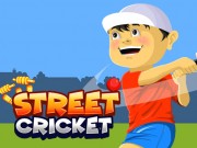 Play Street Cricket