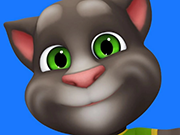 Play Talking Tom Cat