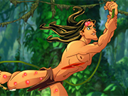 Play Tarzan Jungle Problems